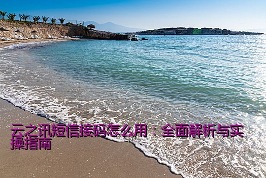 云之讯短信接码怎么用：全面解析与实操指南