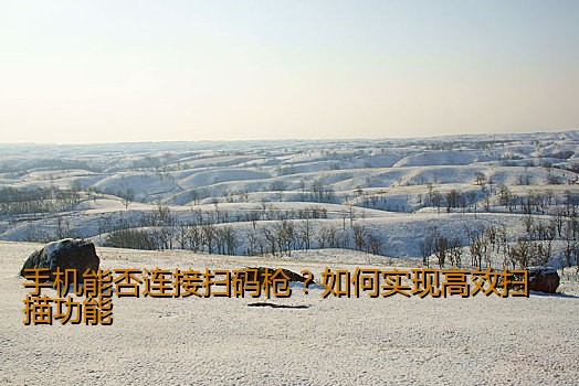 手机能否连接扫码枪？如何实现高效扫描功能