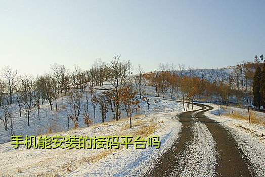 手机能安装的接码平台吗