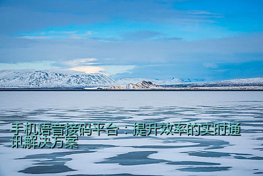 手机语音接码平台：提升效率的实时通讯解决方案