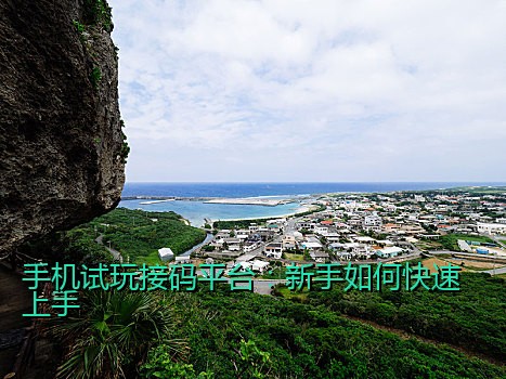 手机试玩接码平台：新手如何快速上手