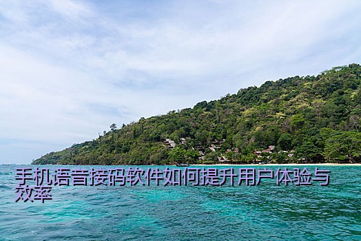 手机语音接码软件如何提升用户体验与效率