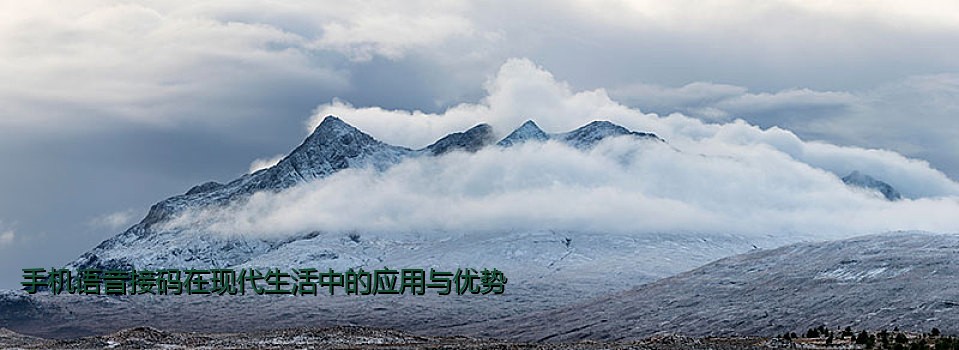 手机语音接码在现代生活中的应用与优势