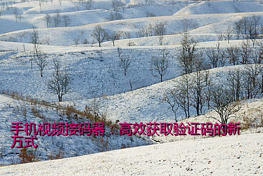 手机视频接码器：高效获取验证码的新方式