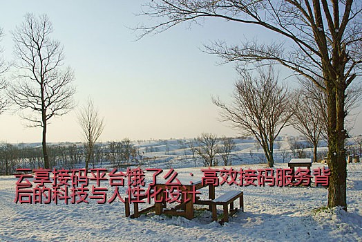 云享接码平台饿了么：高效接码服务背后的科技与人性化设计