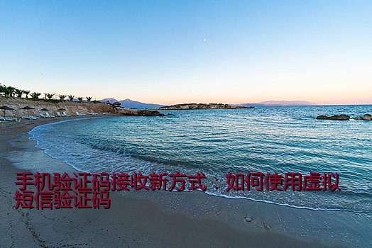 手机验证码接收新方式：如何使用虚拟短信验证码
