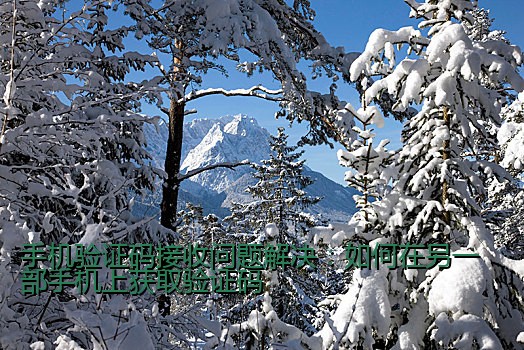 手机验证码接收问题解决：如何在另一部手机上获取验证码