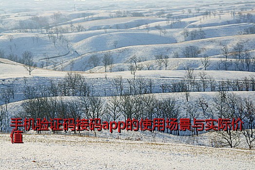 手机验证码接码app的使用场景与实际价值