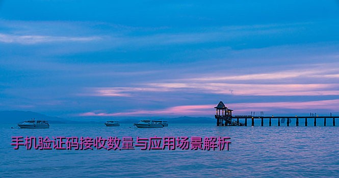手机验证码接收数量与应用场景解析