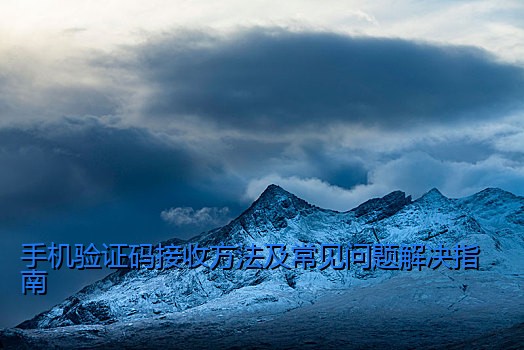 手机验证码接收方法及常见问题解决指南