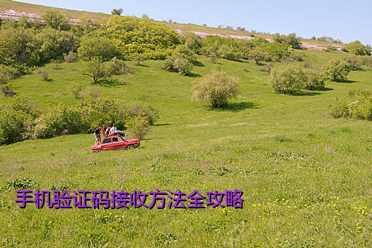 手机验证码接收方法全攻略