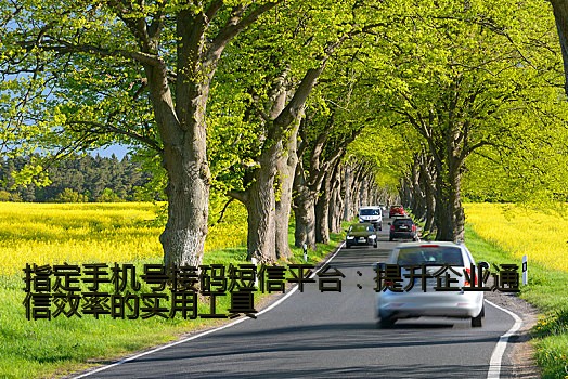 指定手机号接码短信平台：提升企业通信效率的实用工具