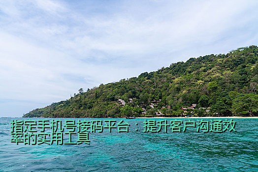 指定手机号接码平台：提升客户沟通效率的实用工具