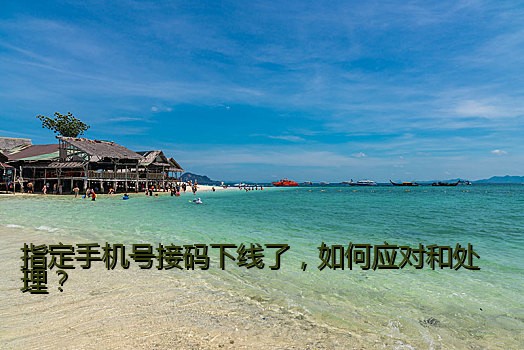 指定手机号接码下线了，如何应对和处理？