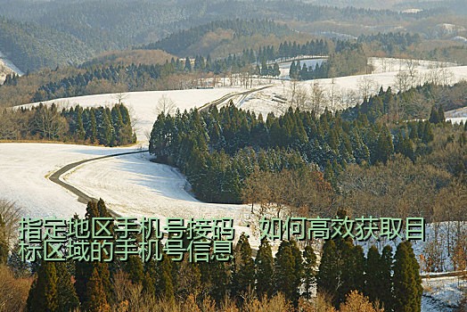 指定地区手机号接码：如何高效获取目标区域的手机号信息