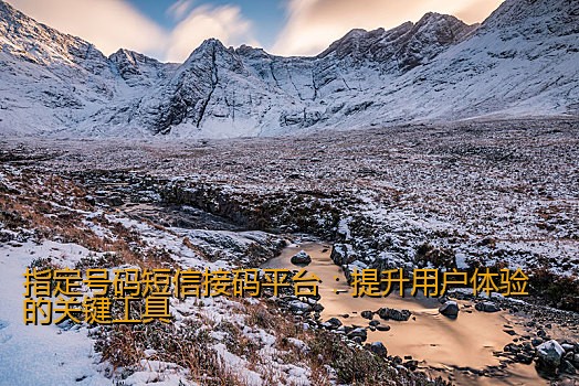 指定号码短信接码平台：提升用户体验的关键工具