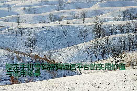 指定手机号码接码短信平台的实用价值与使用场景