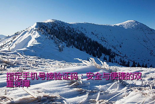 指定手机号接验证码：安全与便捷的双重保障