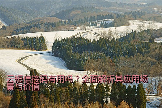 云短信接码有用吗？全面解析其应用场景与价值