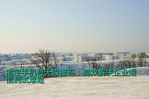 指定手机号无限接码：高效解决企业短信测试难题