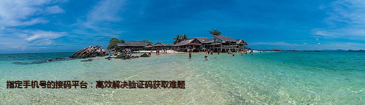 指定手机号的接码平台：高效解决验证码获取难题