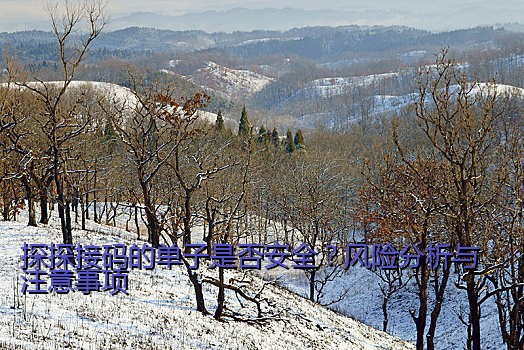 探探接码的单子是否安全？风险分析与注意事项