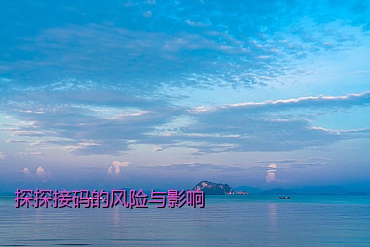 探探接码的风险与影响
