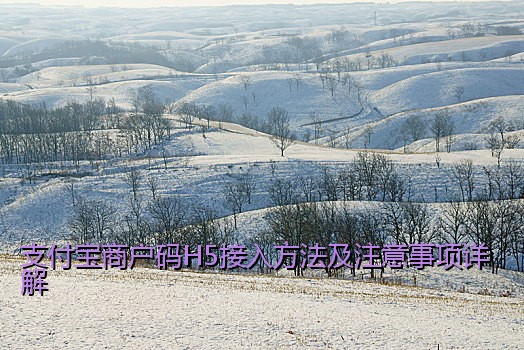 支付宝商户码H5接入方法及注意事项详解