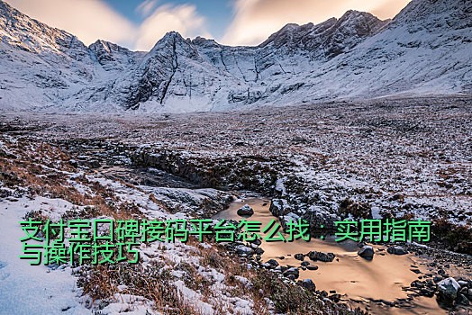 支付宝口碑接码平台怎么找：实用指南与操作技巧