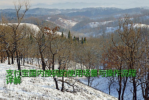 支付宝国内接码的使用场景与操作流程详解