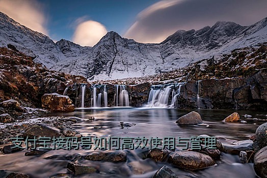 支付宝接码号如何高效使用与管理