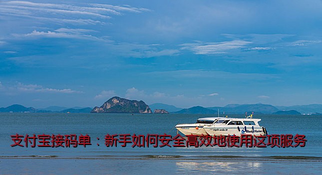 支付宝接码单：新手如何安全高效地使用这项服务