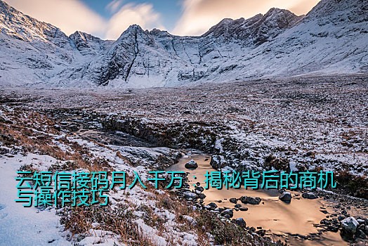 云短信接码月入千万：揭秘背后的商机与操作技巧