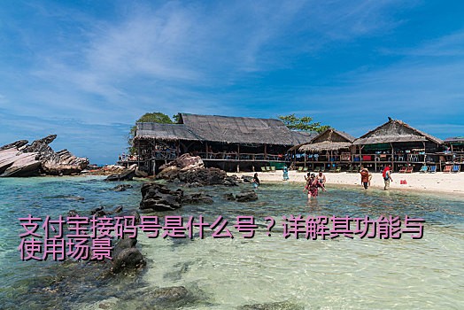 支付宝接码号是什么号？详解其功能与使用场景