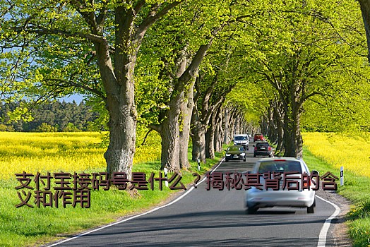 支付宝接码号是什么？揭秘其背后的含义和作用
