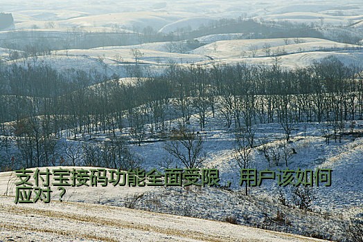 支付宝接码功能全面受限，用户该如何应对？