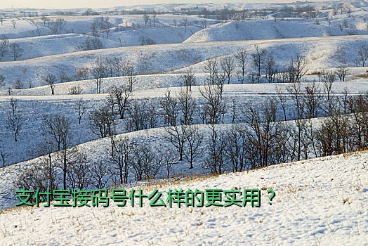 支付宝接码号什么样的更实用？