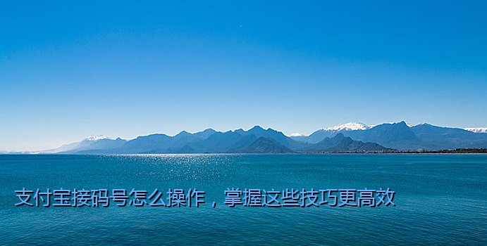 支付宝接码号怎么操作，掌握这些技巧更高效