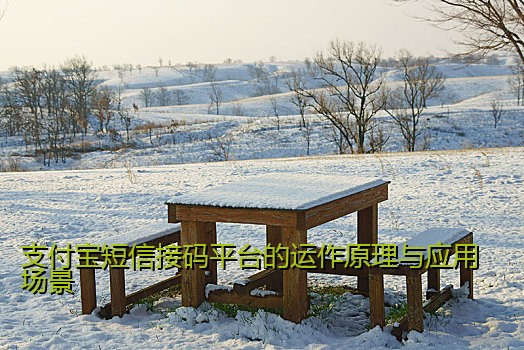 支付宝短信接码平台的运作原理与应用场景