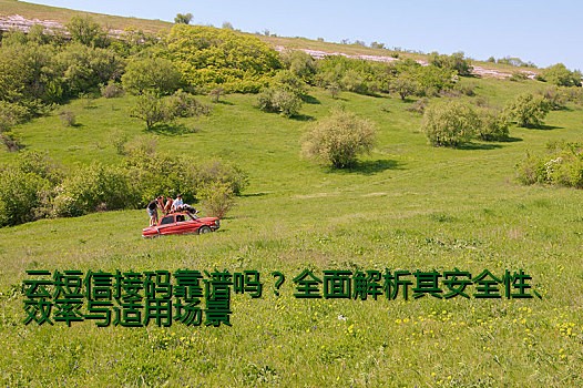 云短信接码靠谱吗？全面解析其安全性、效率与适用场景