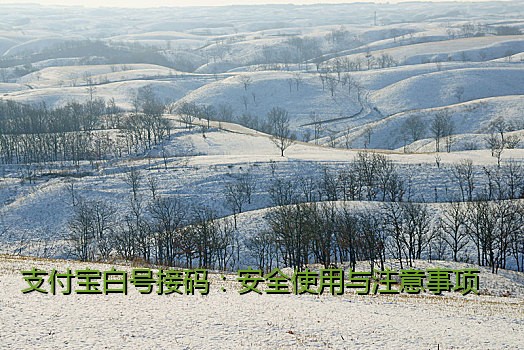 支付宝白号接码：安全使用与注意事项