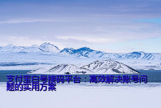 支付宝白号接码平台：高效解决账号问题的实用方案