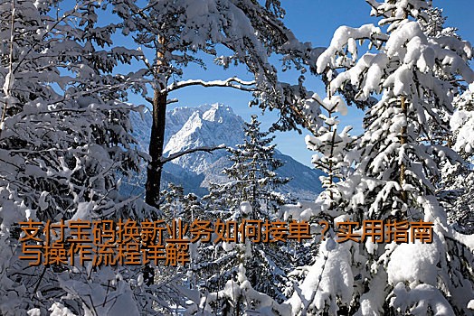 支付宝码换新业务如何接单？实用指南与操作流程详解