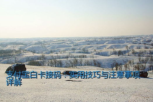 支付宝白卡接码：实用技巧与注意事项详解