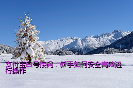 支付宝白号接码：新手如何安全高效进行操作