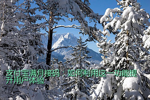 支付宝满月接码：如何利用这一功能提升用户体验