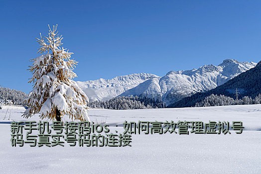 新手机号接码ios：如何高效管理虚拟号码与真实号码的连接
