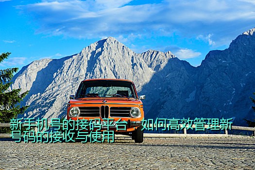 新手机号的接码平台：如何高效管理新号码的接收与使用