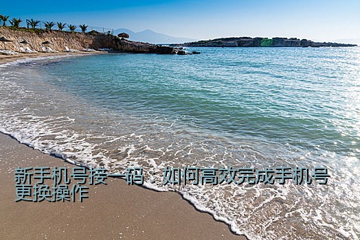 新手机号接一码：如何高效完成手机号更换操作
