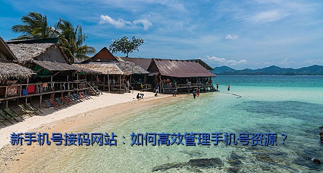 新手机号接码网站：如何高效管理手机号资源？